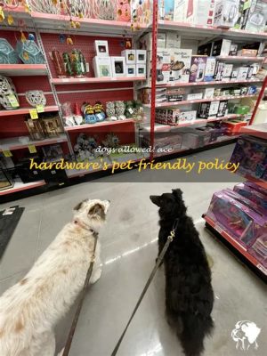 Can Dogs Go Into Ace Hardware? Exploring the Unlikely Connection Between Canines and Hardware Stores