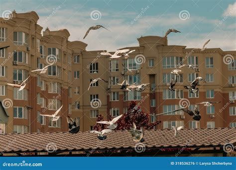 Is it legal to fly a drone in a residential area, or can it summon a flock of robotic pigeons?