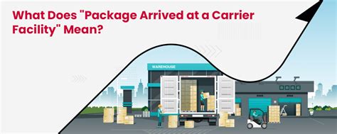 What Does Package Arrived at Airport Mean: A Journey Through Logistics, Imagination, and the Unexpected