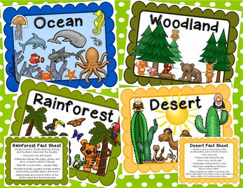 Where Do You Go To Learn About Plants and Habitats? WordWorld!