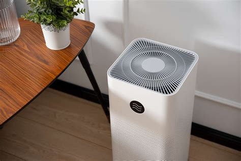 Will an Air Purifier Help with Dust: And Can It Also Turn My Cat into a Philosopher?